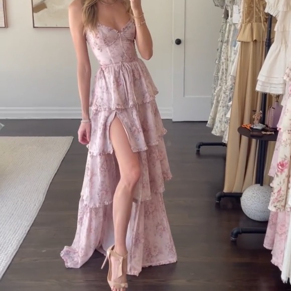 V. Chapman Dresses & Skirts - V. Chapman the Caterina Dress in blush bouquet 6